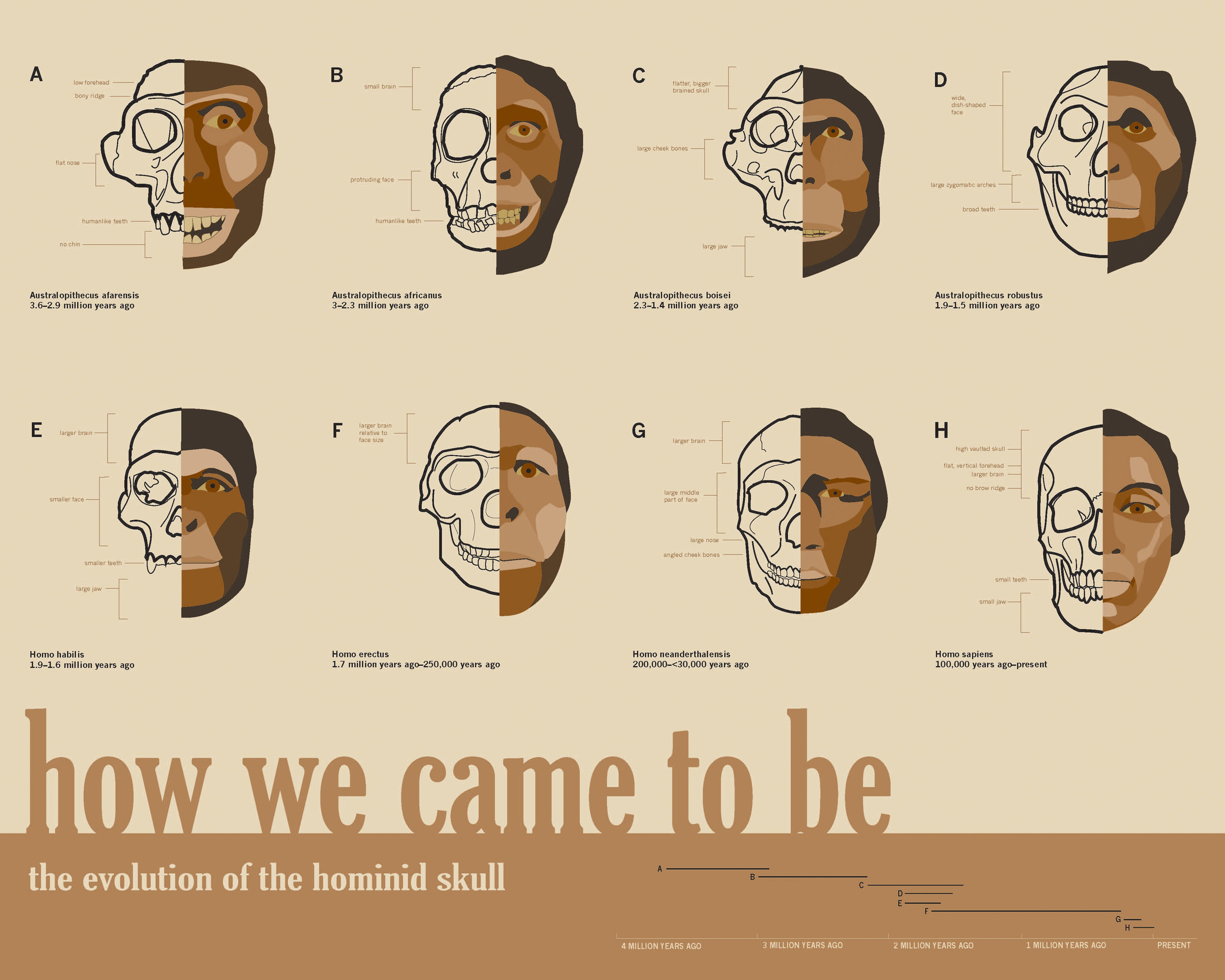 Collection Final.jpg