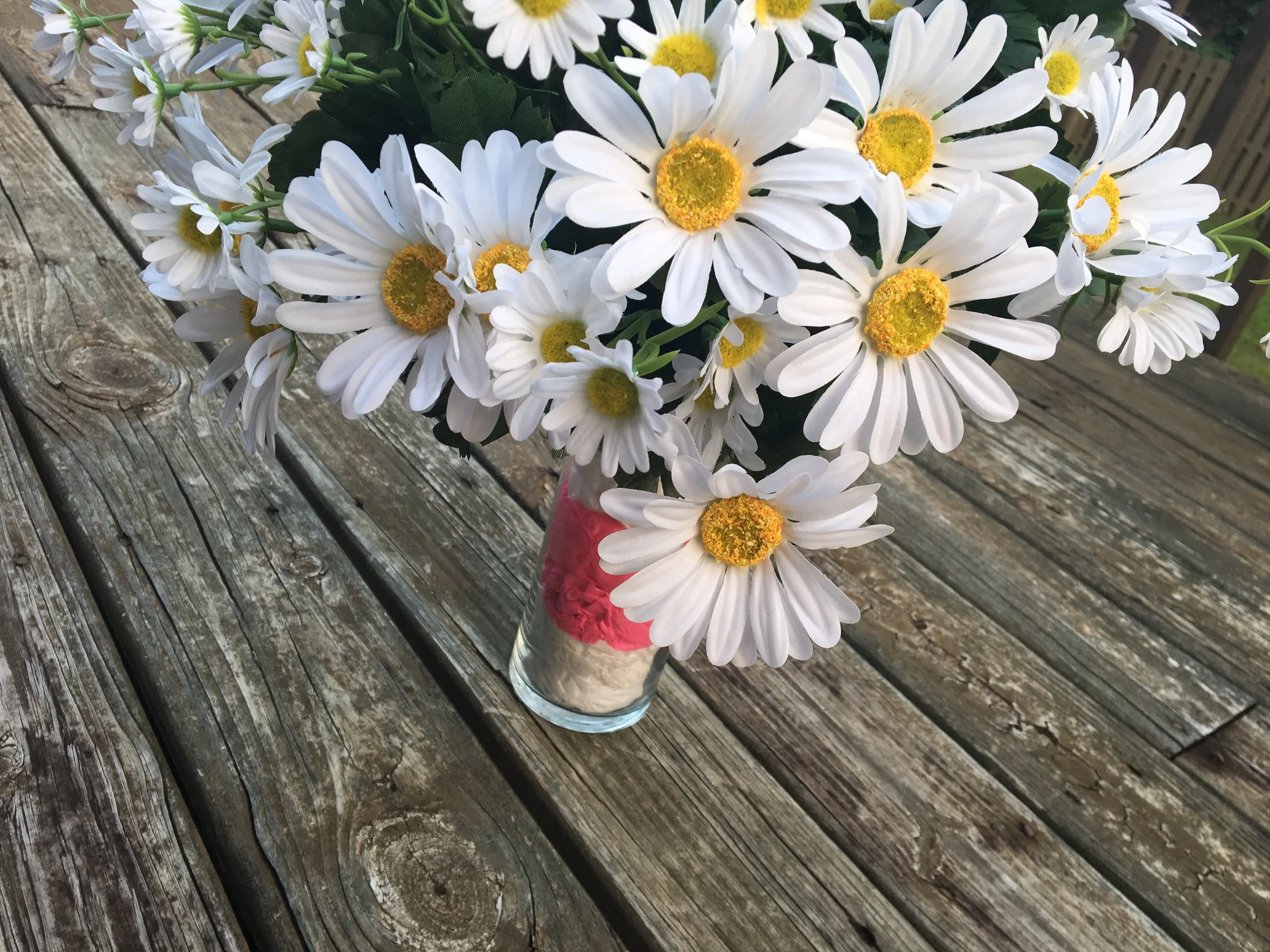 Daisies Top View .JPG