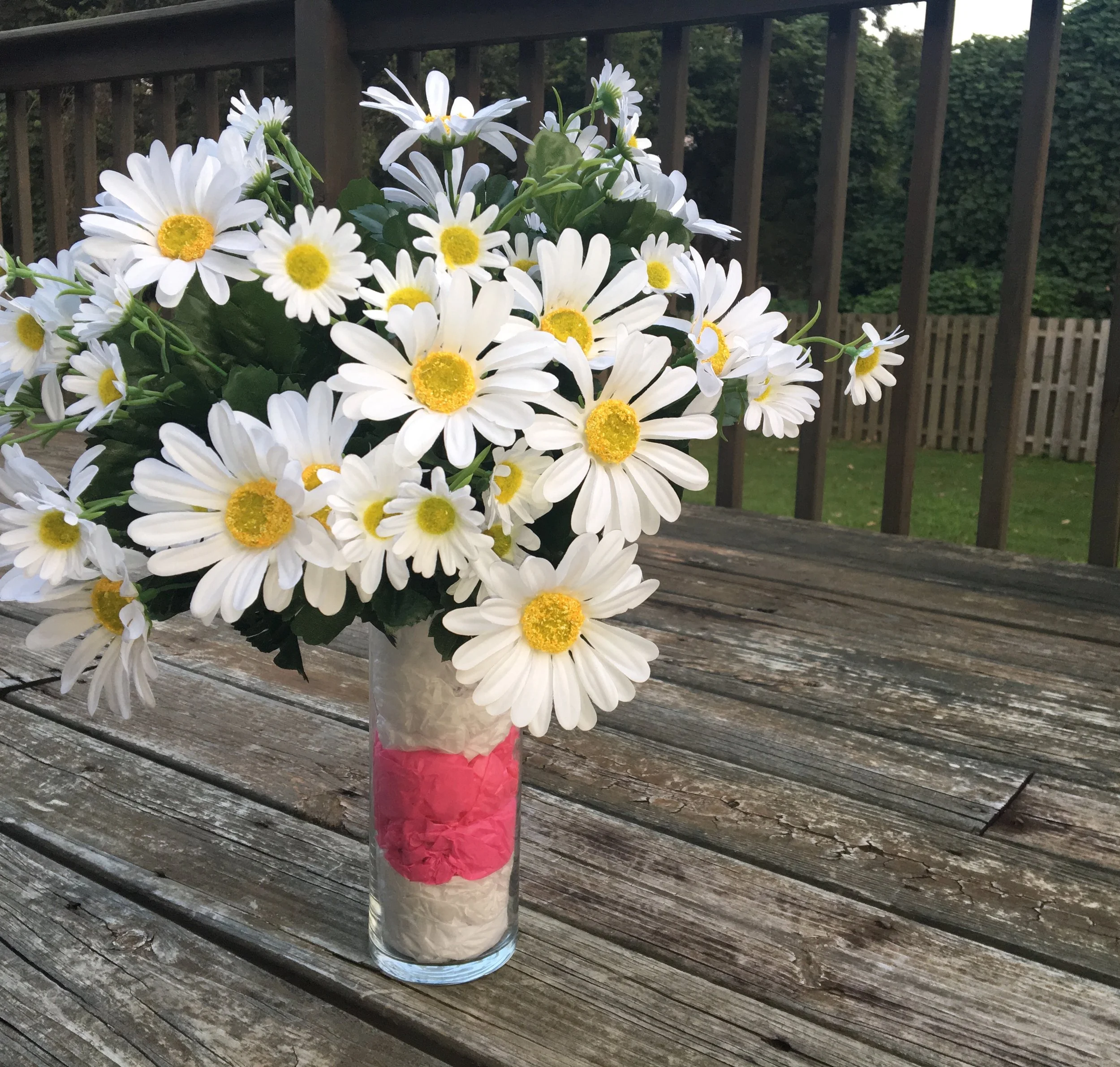 Daisies Front View.jpg