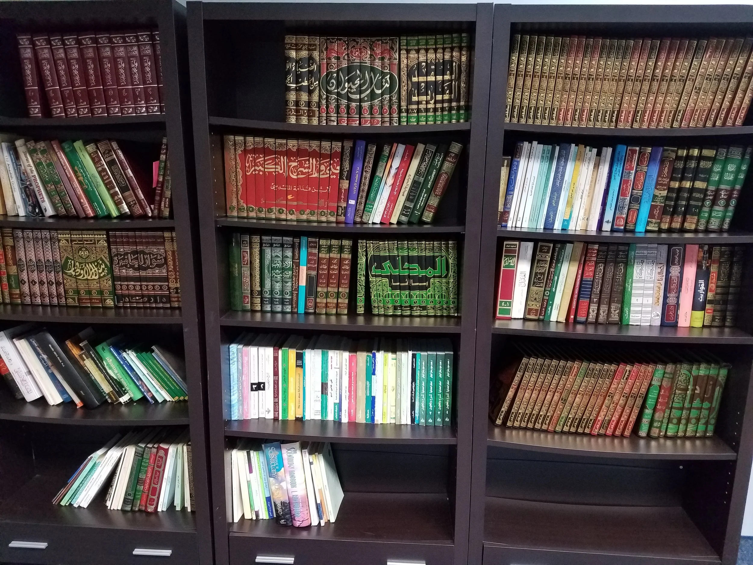 library1.jpg