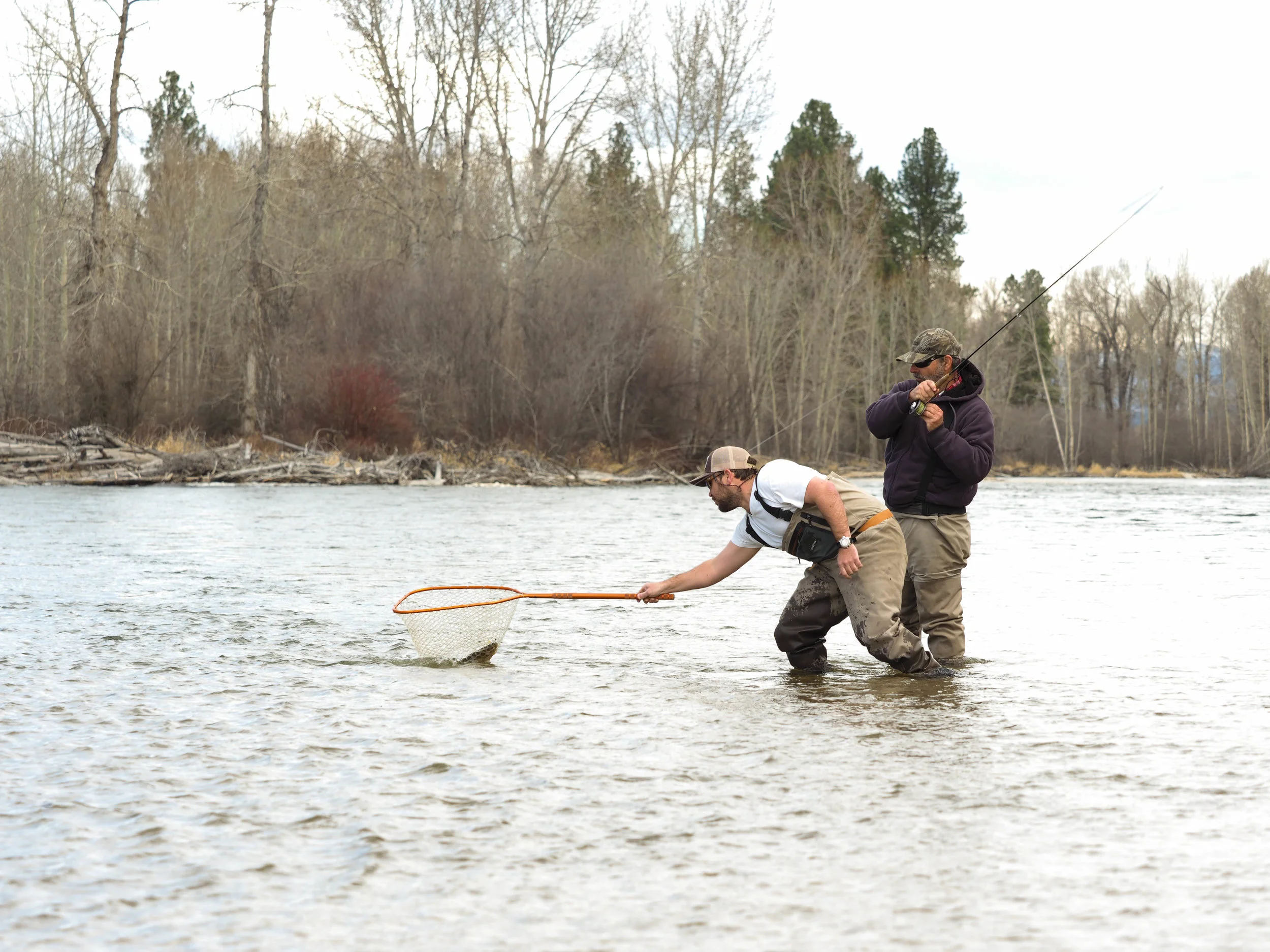 Wade fishing the Bitterroot River in Montana
