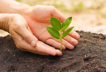 How to Grow Your List