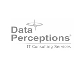 dataperceptions.jpg