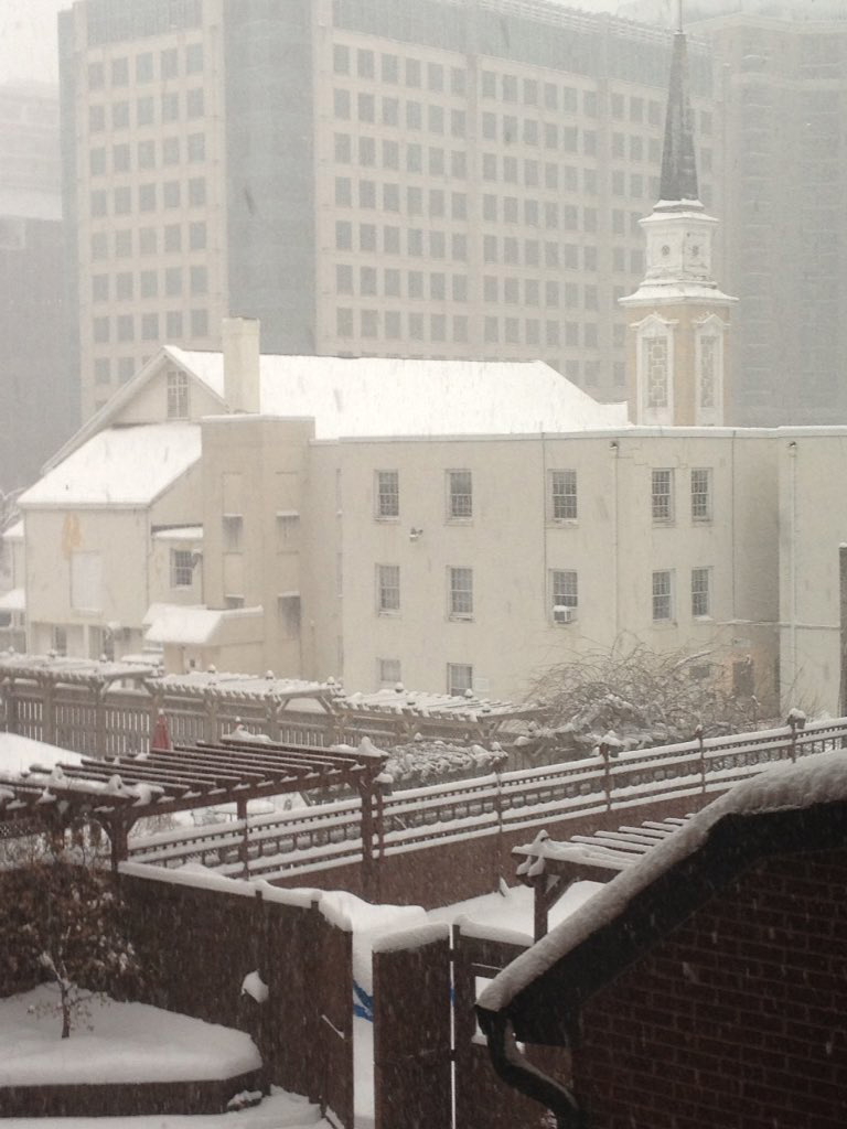 Christine Searle shared this picture of the view from her home office with her Twitter followers on one of Arlington’s recent snow days.