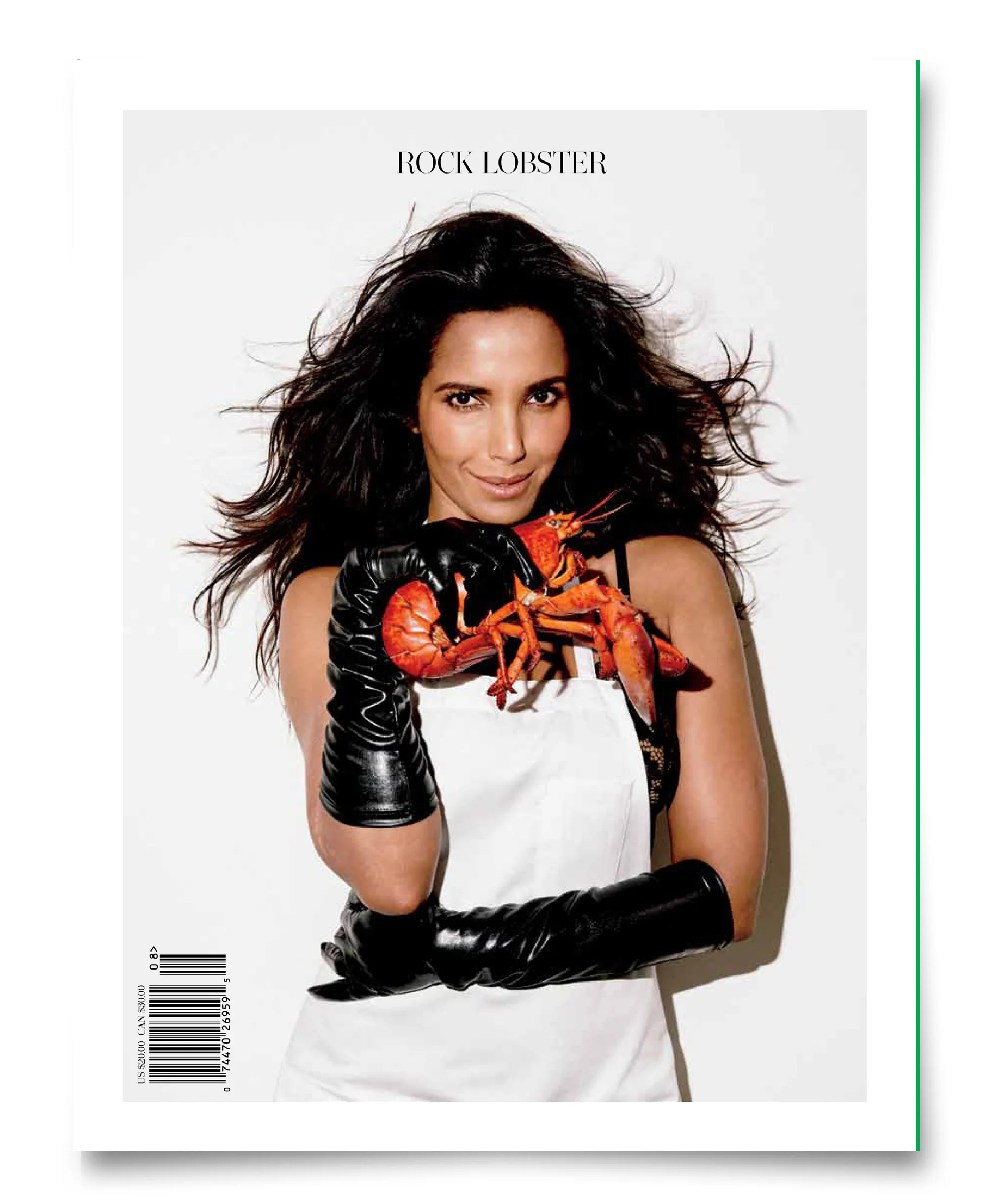 Issue 8 Back Cover