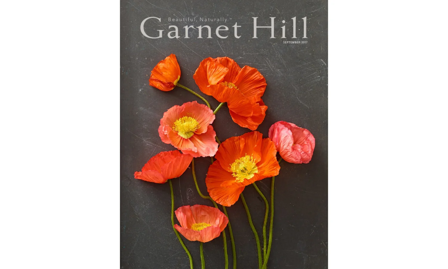 GH Covers layout 4.jpg