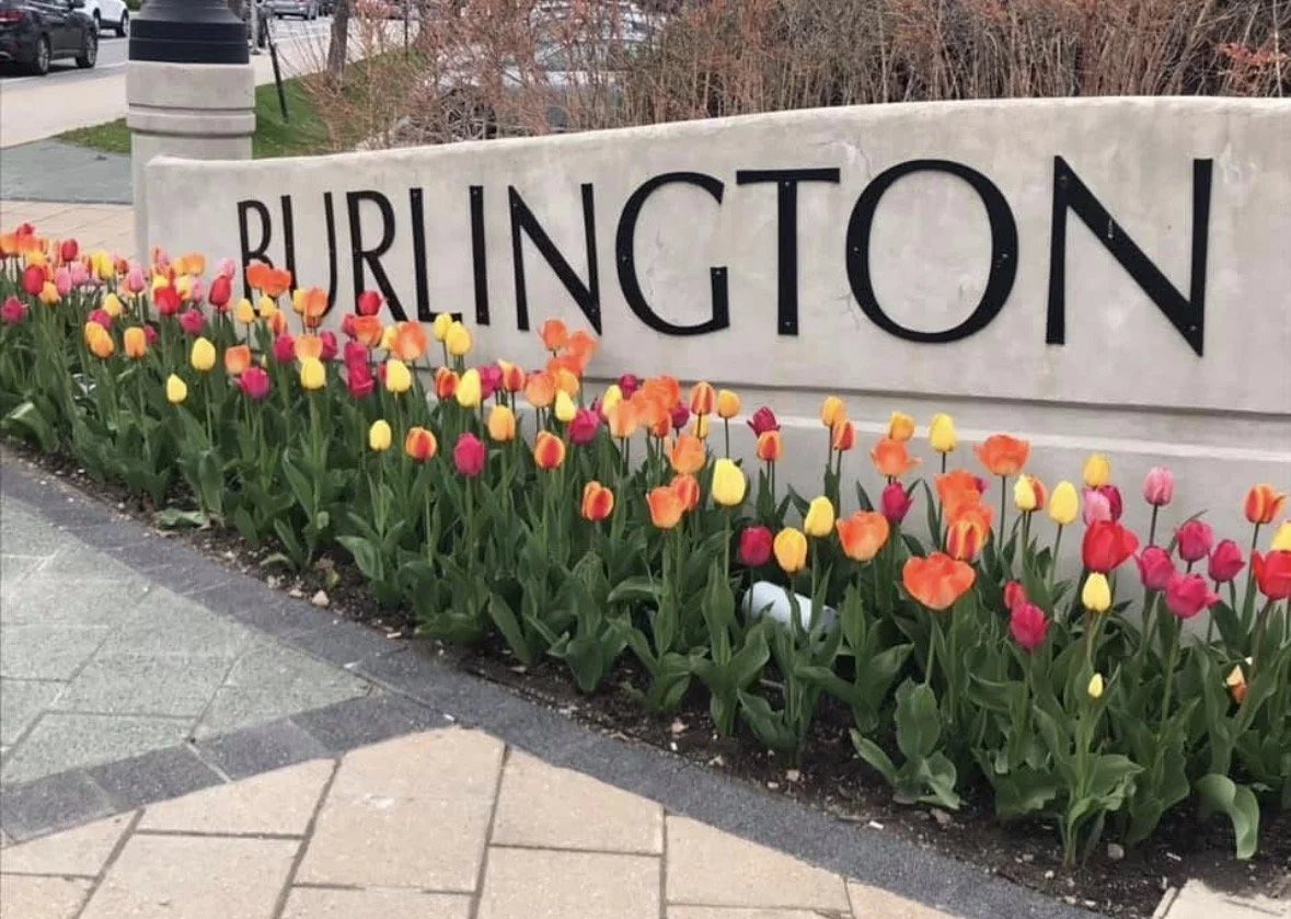 Why Burlington Continues to Be One of Canada’s Most Desirable Places to Call Home