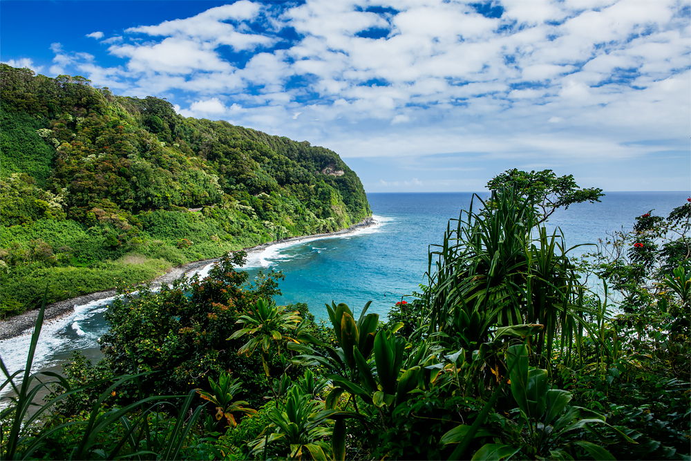 Hana Road, Maui HI