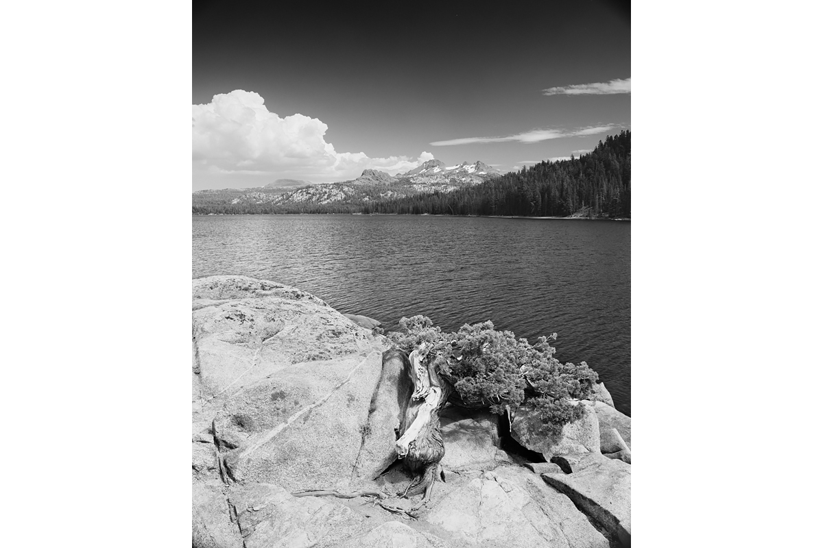  Seattle, Everett, Bellevue, Shoreline, Lynnwood, Edmonds, Bothell,&nbsp; Washington, Pacific Northwest, Fine Art, Print, Art, Landscape, Environmental, Black and White, tree, rock, Lake Tahoe, California, gallery 