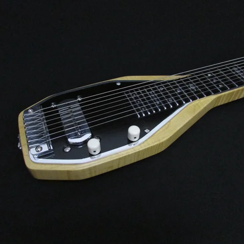 専用グリットラスキン 作品集「The Guitarmaker's Canvas」 A Guitarmaker's Canvas: The Inlay Art of Grit Laskin: Laskin