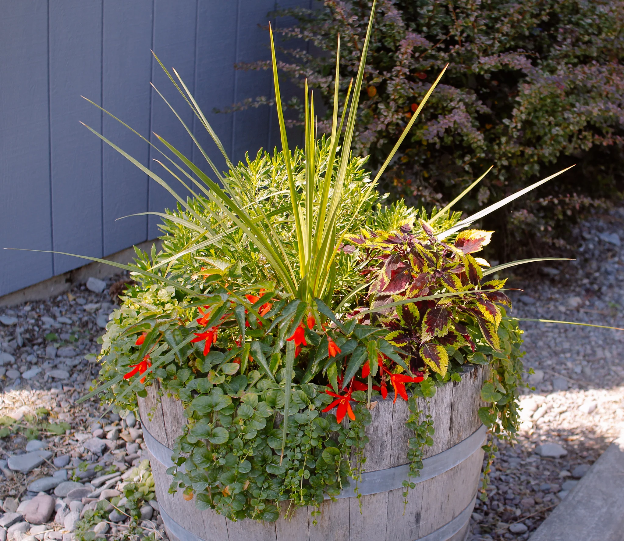 baskets-166.jpg