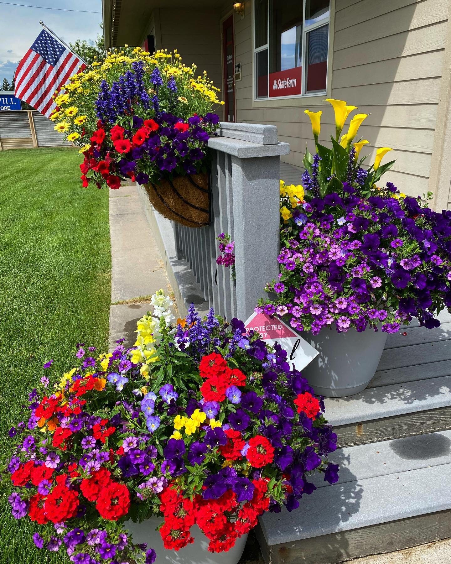 Oodles of summer color at Kalispell State Farm office!