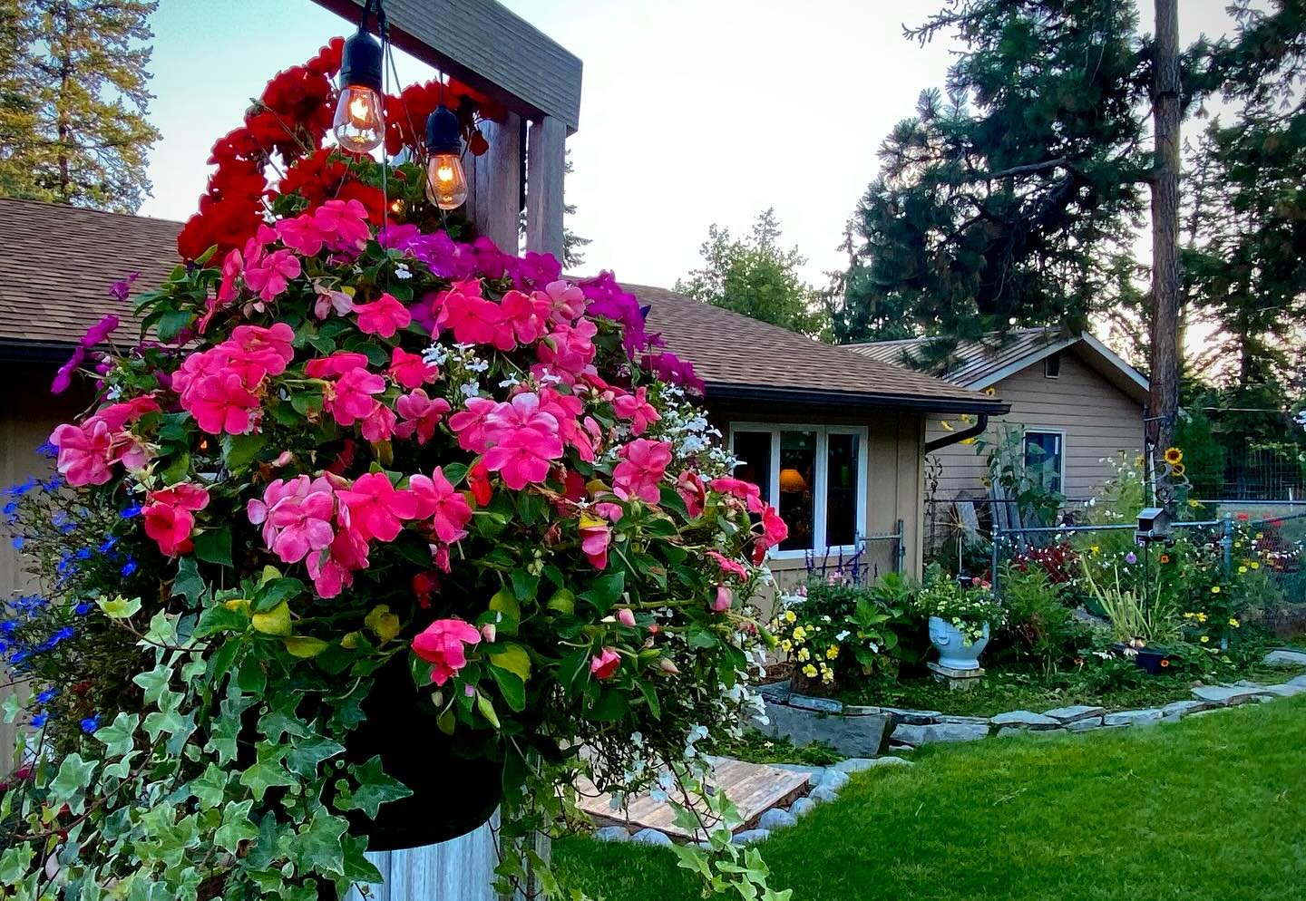 Refreshing deep colors in my backyard oasis 💕