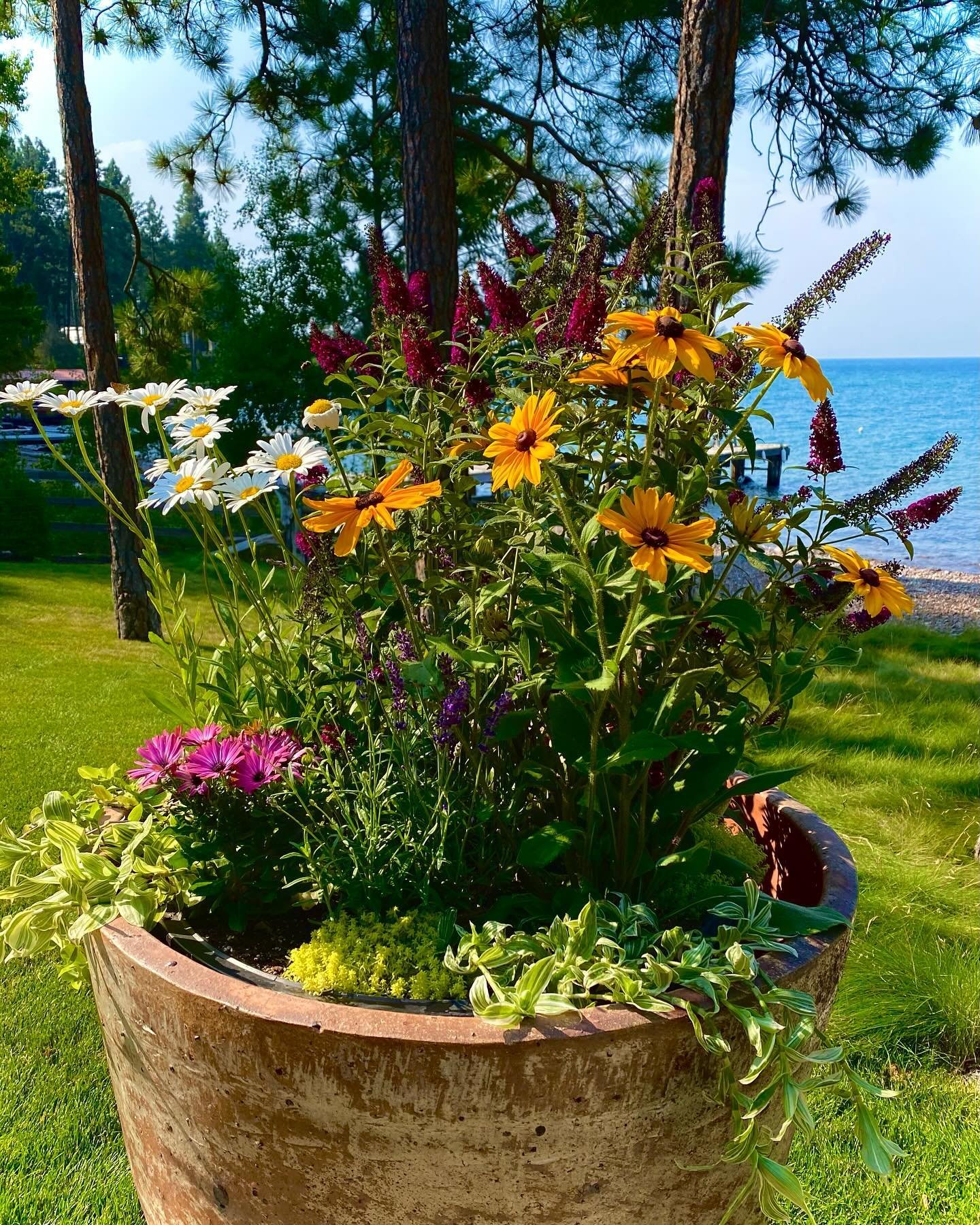 Colorful mix of annuals and perennials Flathead Lake estate