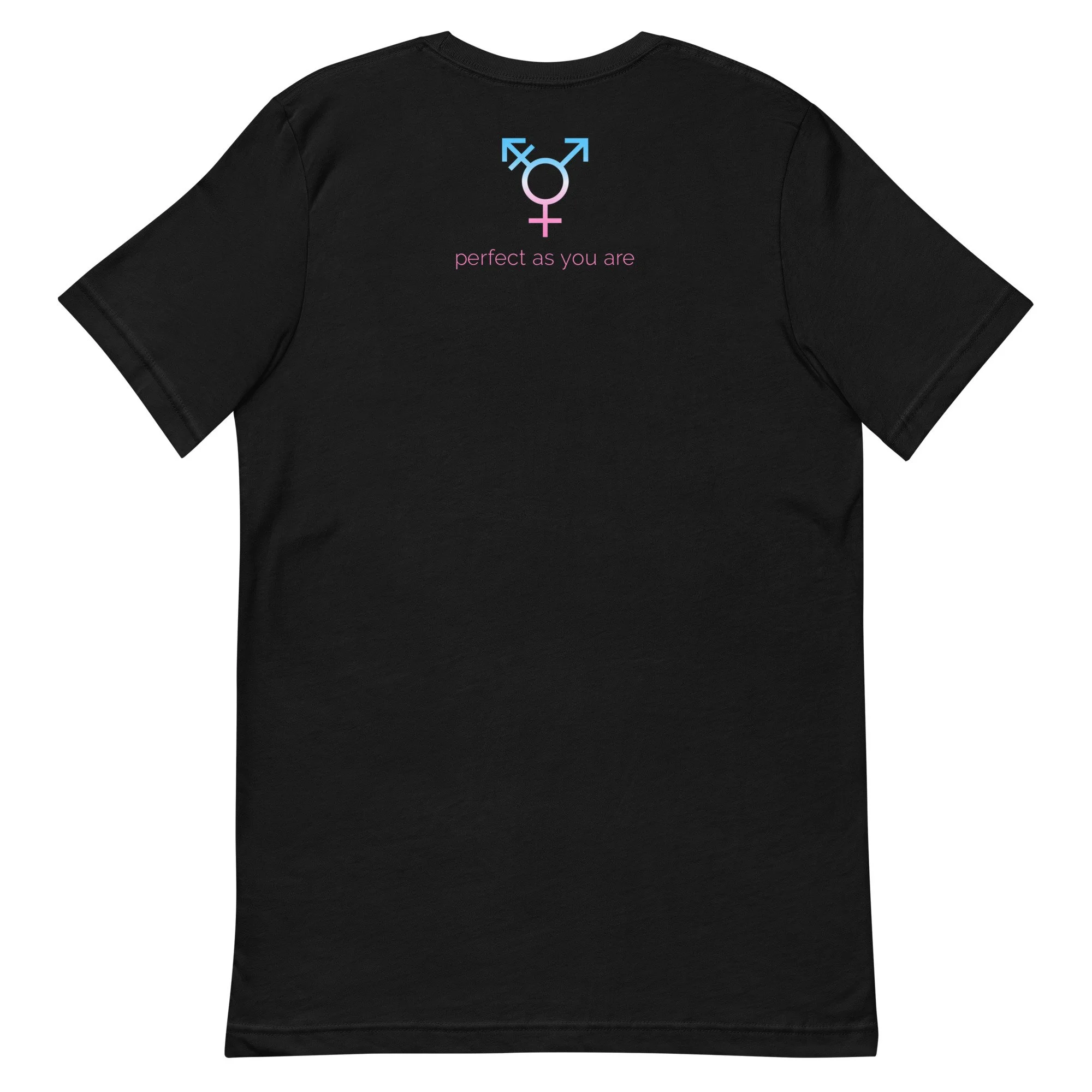 unisex-staple-t-shirt-black-back-66688db2aa339.jpg