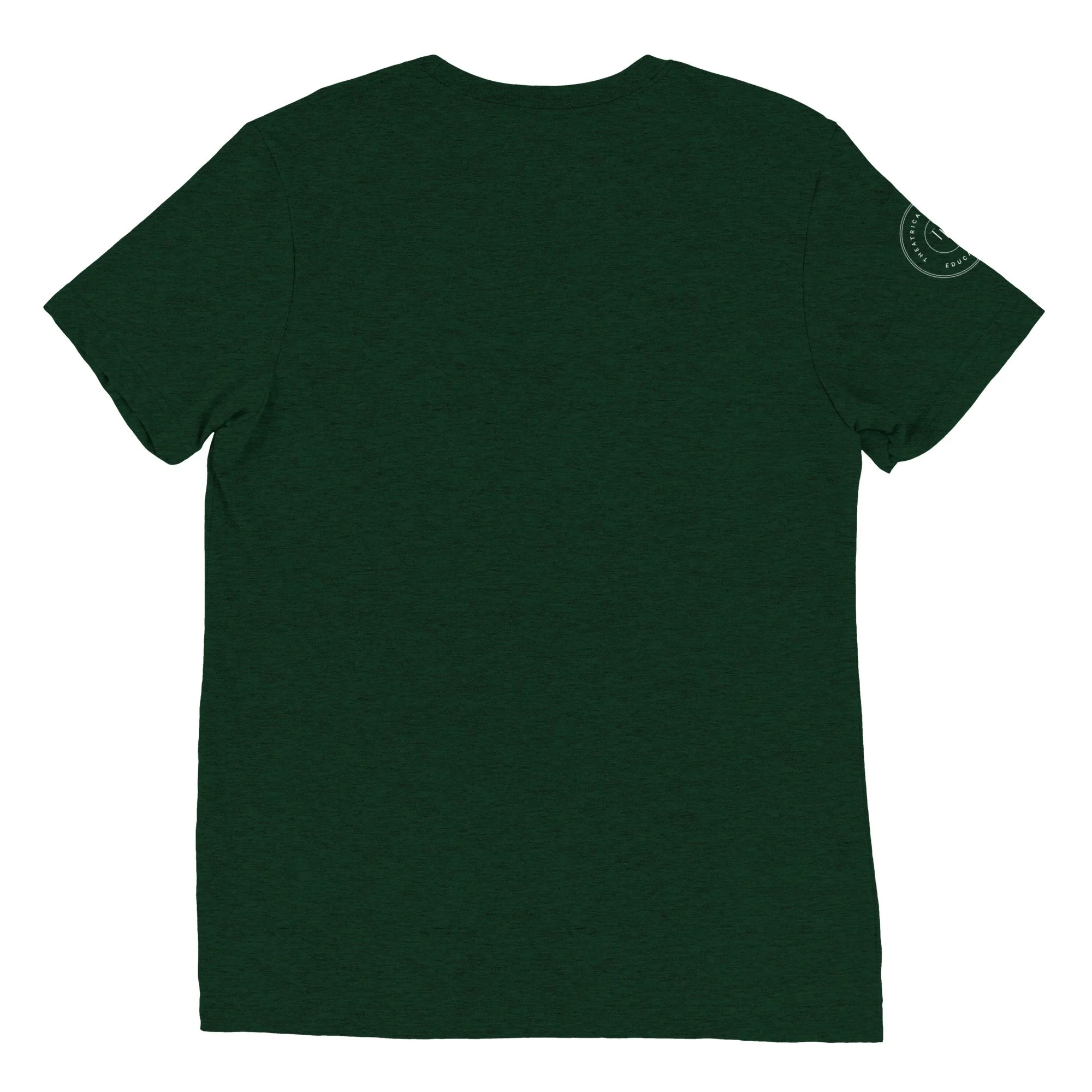 unisex-tri-blend-t-shirt-emerald-triblend-back-69160a7f55ae8.jpg