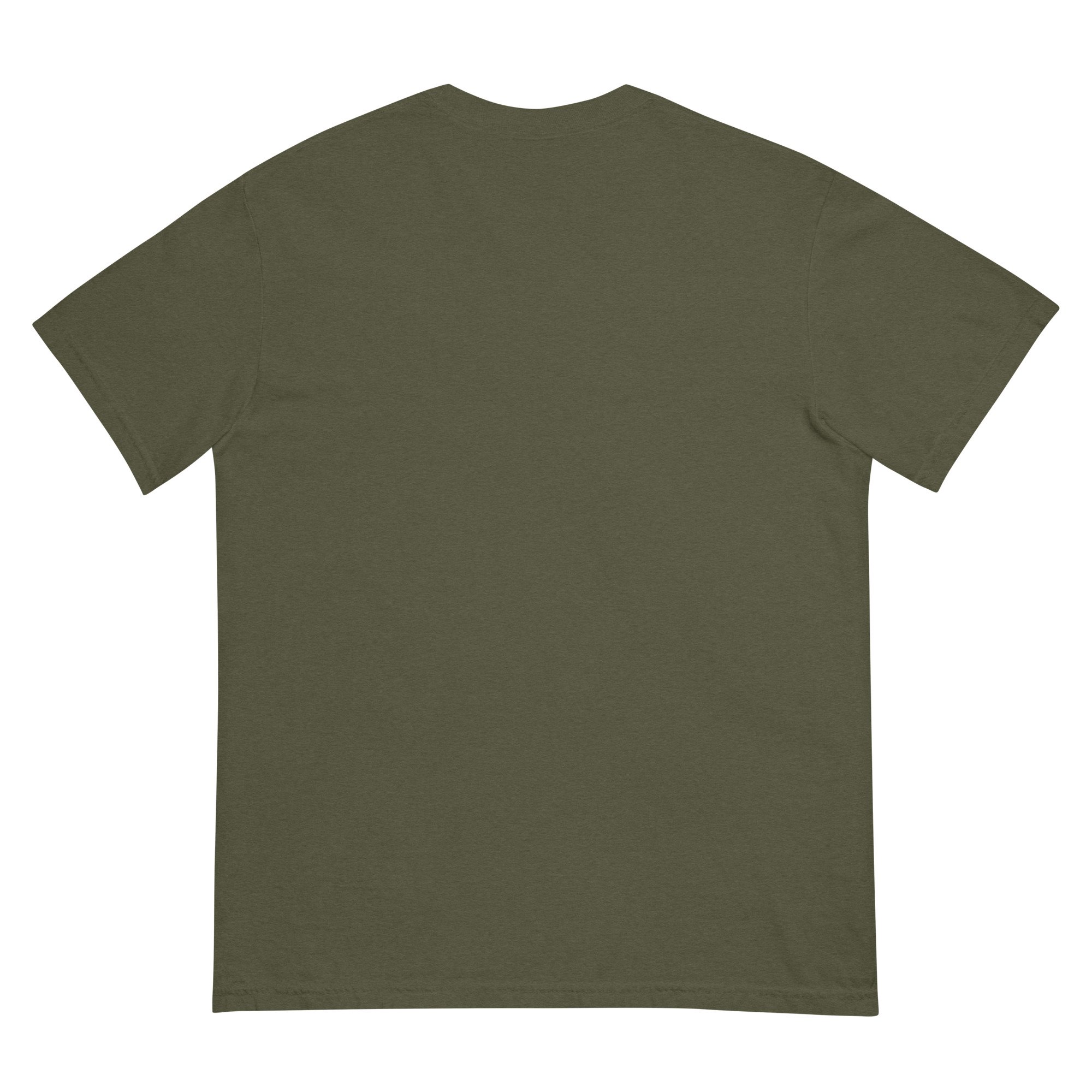 unisex-garment-dyed-heavyweight-t-shirt-sage-back-6a8ba3467a3d6.jpg