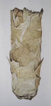 cigar11.gif