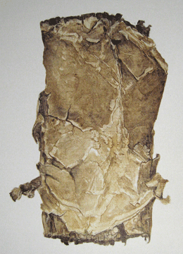 cigar05.gif