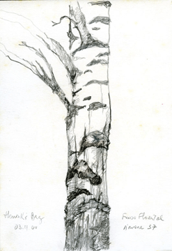 desenho16.gif