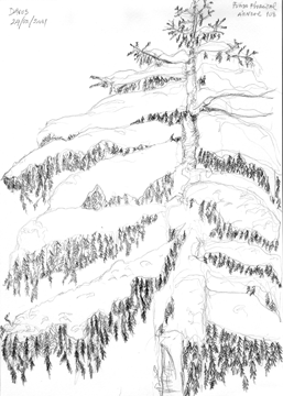 desenho13.gif