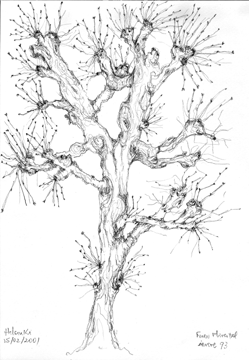 desenho01.gif
