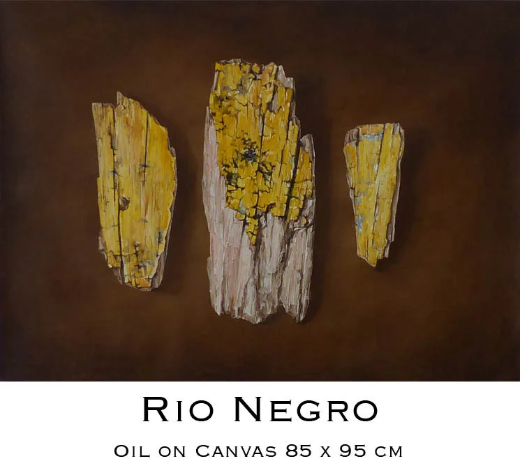 Rio Negro