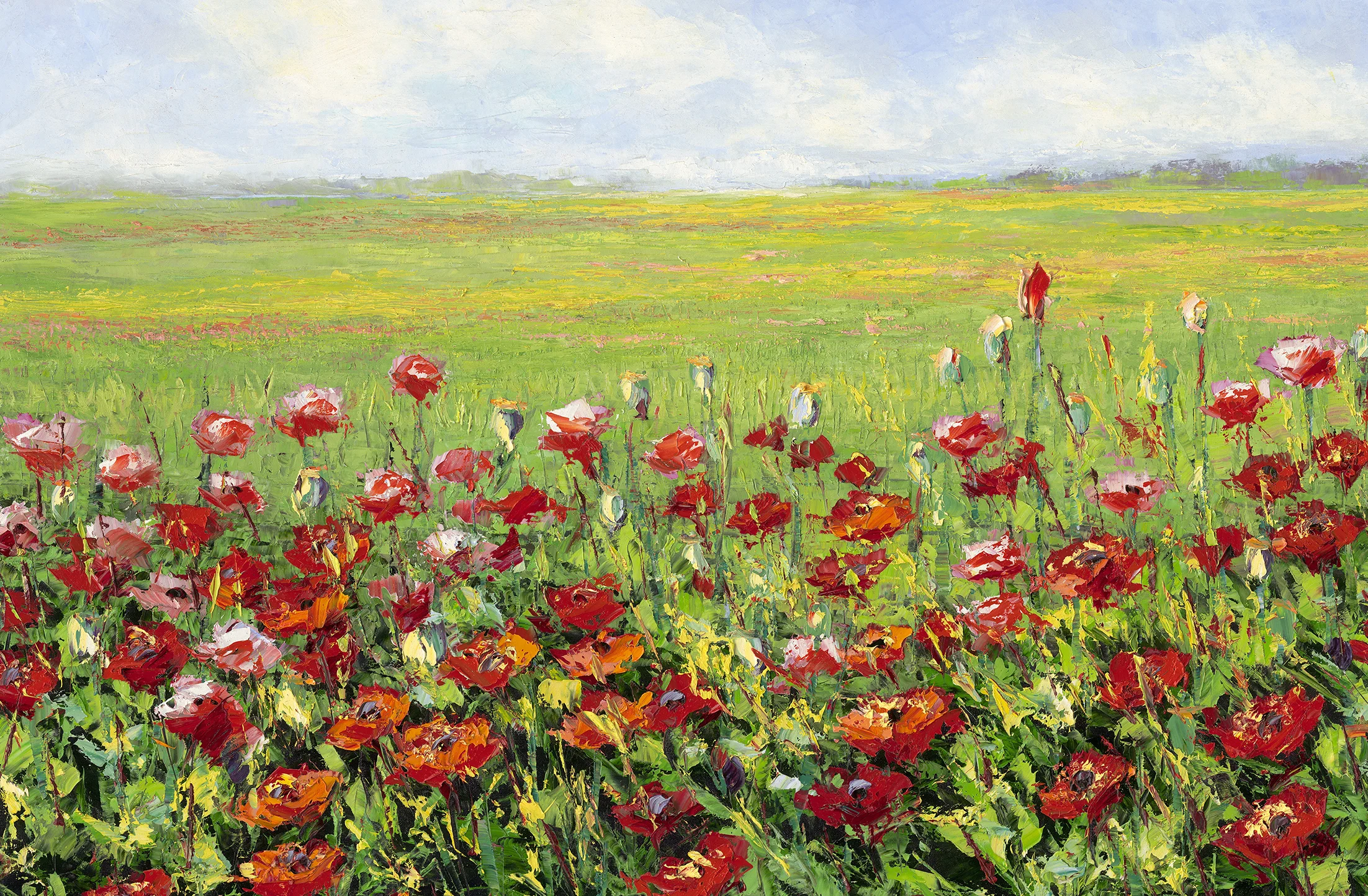 11238_poppy_field_RV1-103007.jpg