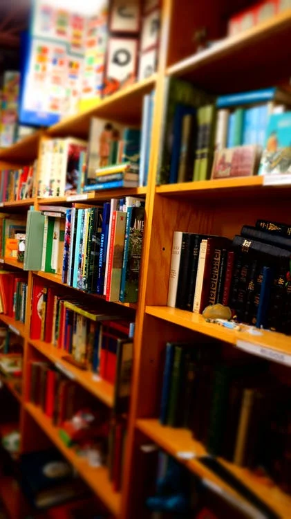 books-wooden-shelves-library-child-books-159702.jpeg