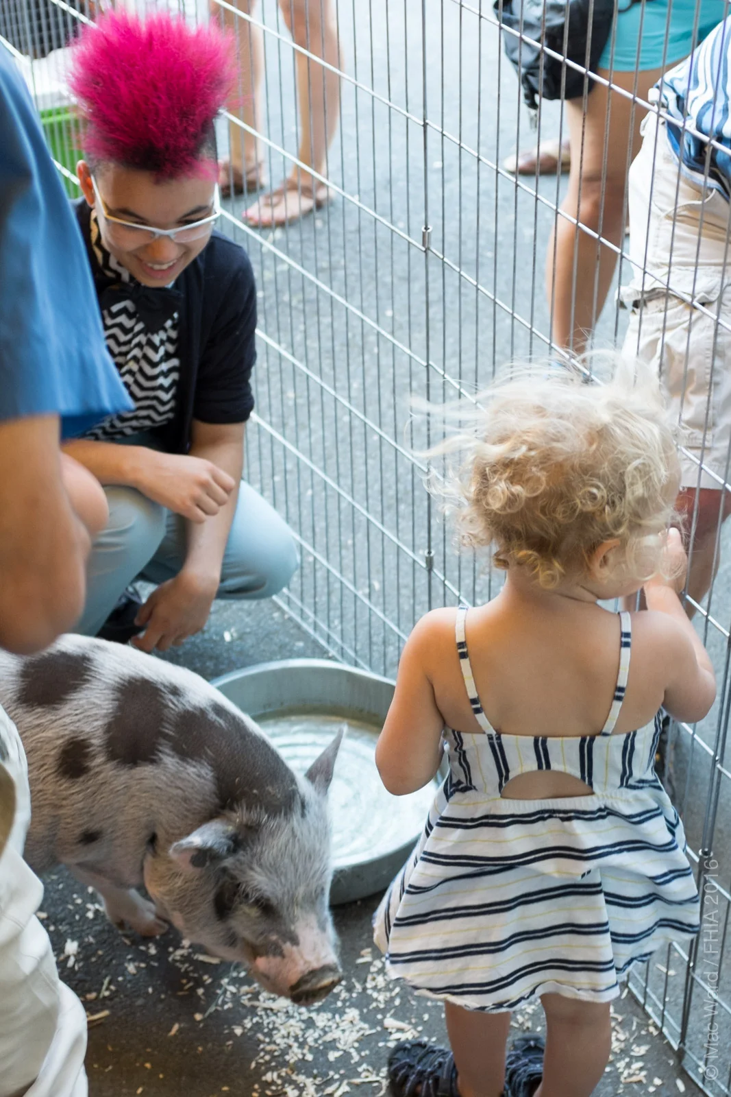 FHIA Zoo-11.jpg