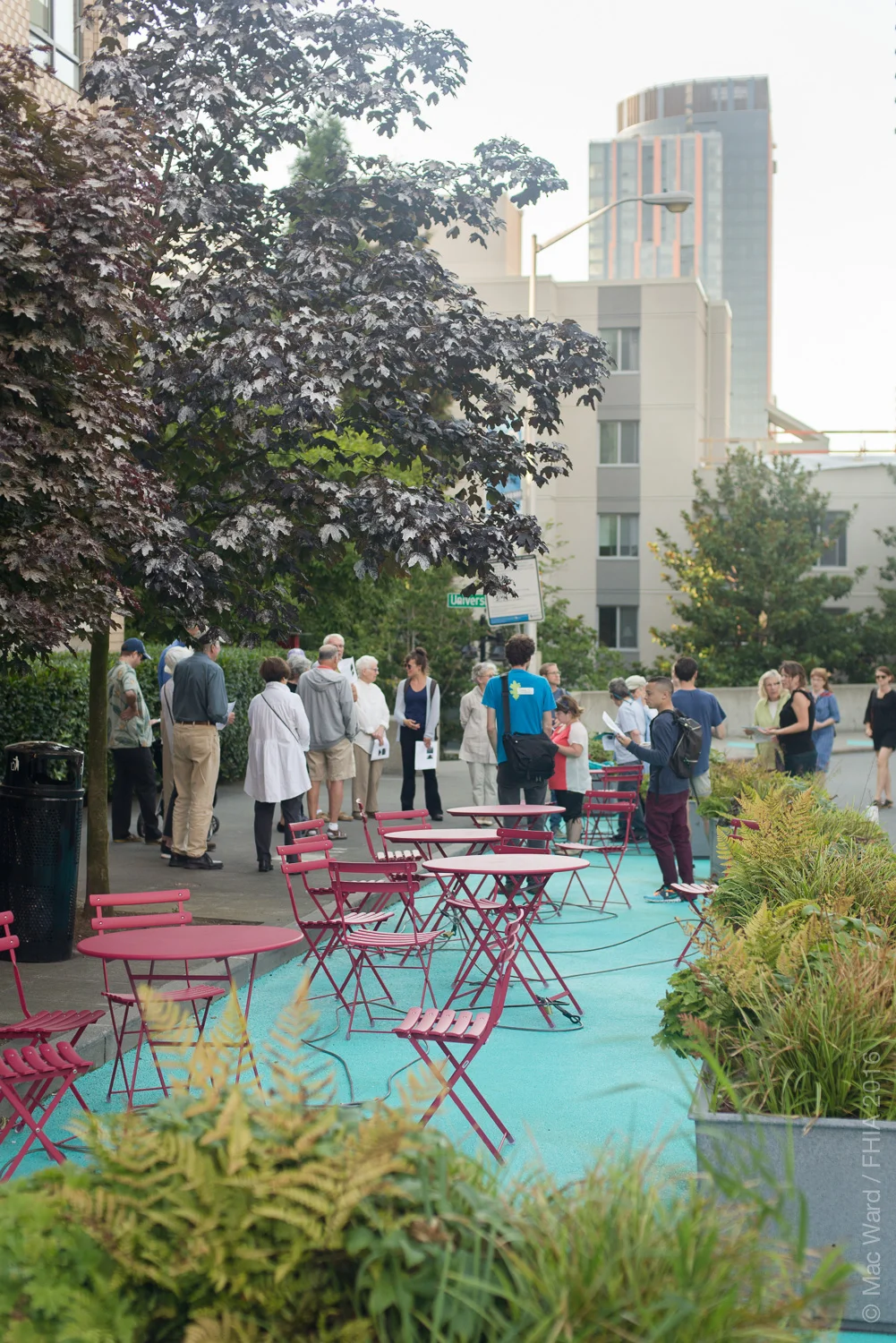 FHIA Tree Walk 2016-8007.jpg