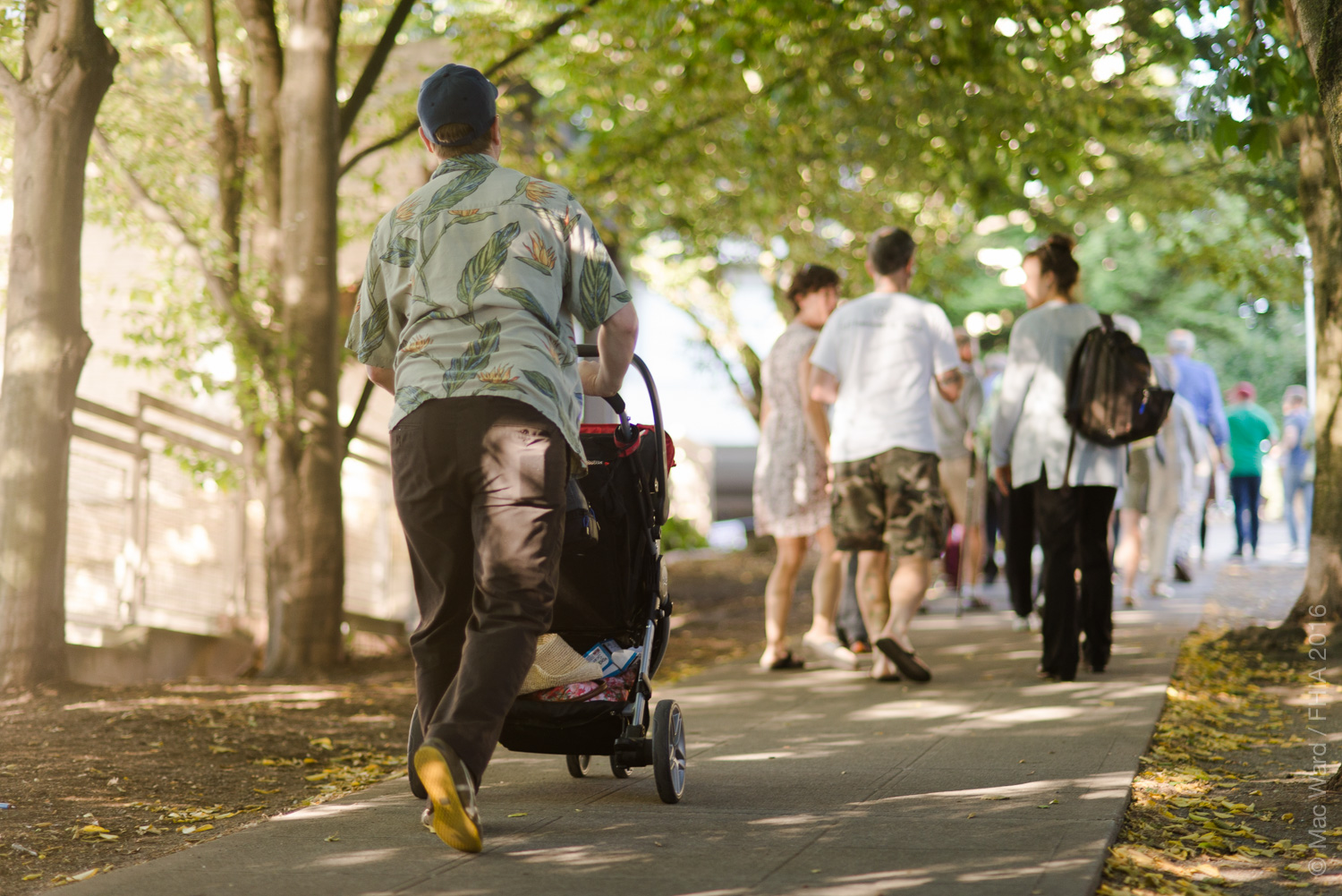 FHIA Tree Walk 2016-8087.jpg