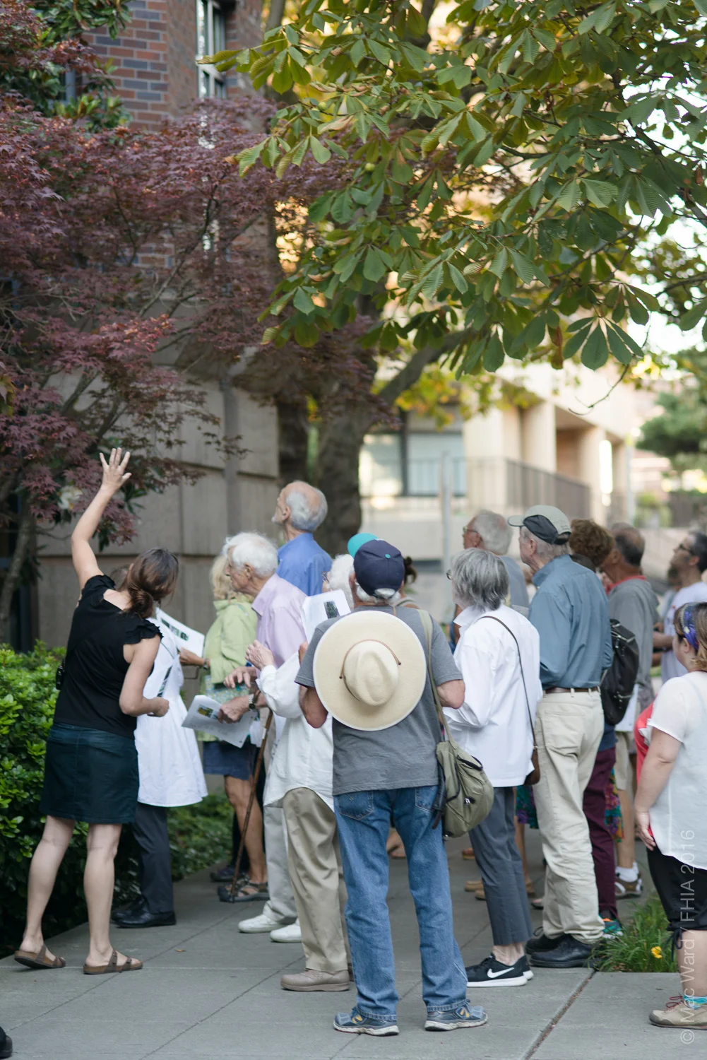 FHIA Tree Walk 2016-8536.jpg