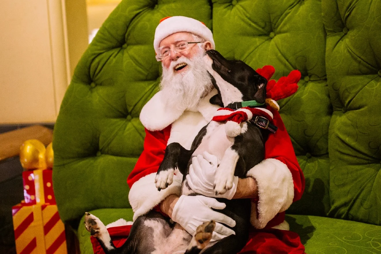 Santa at the Mansion 