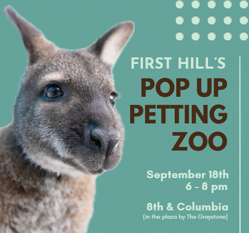 First Hill's Pop Up Petting Zoo