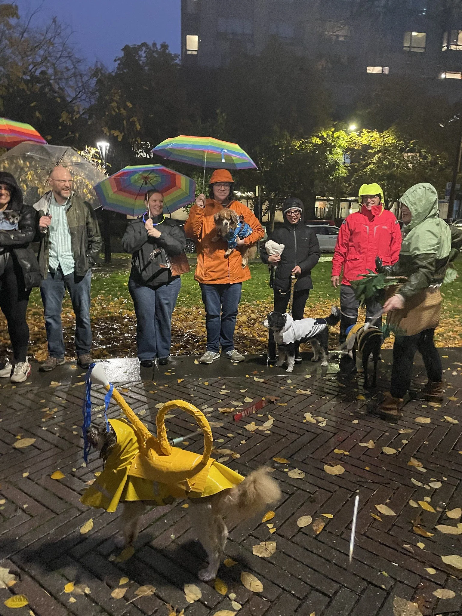 First Hill Pet Parade 2025