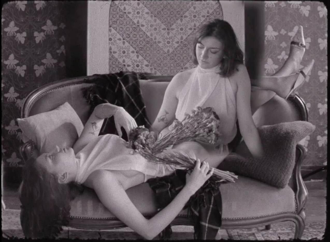 Cadence Video Poetry Screening: ceaseless, of the earth