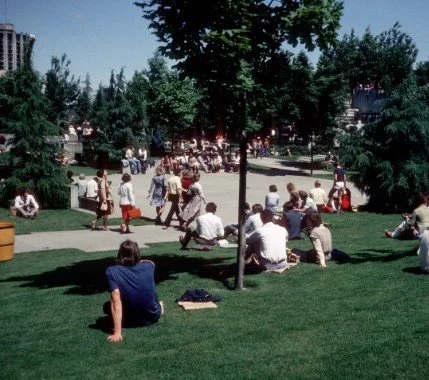 Picnic in Freeway Park with Lid I-5