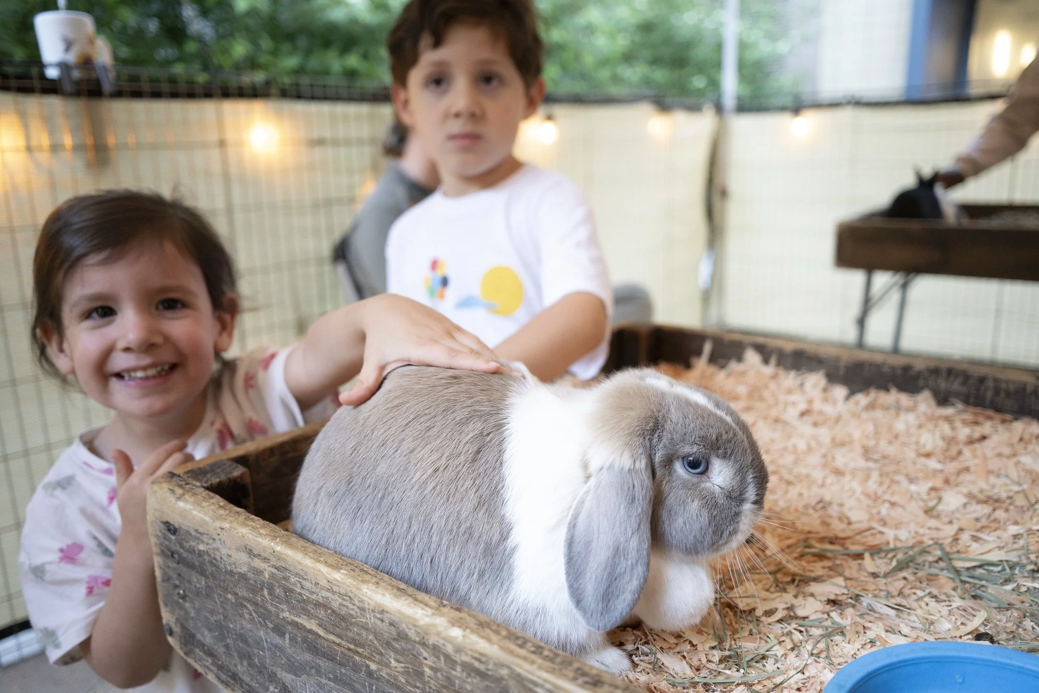 Petting_Zoo_20260917-15