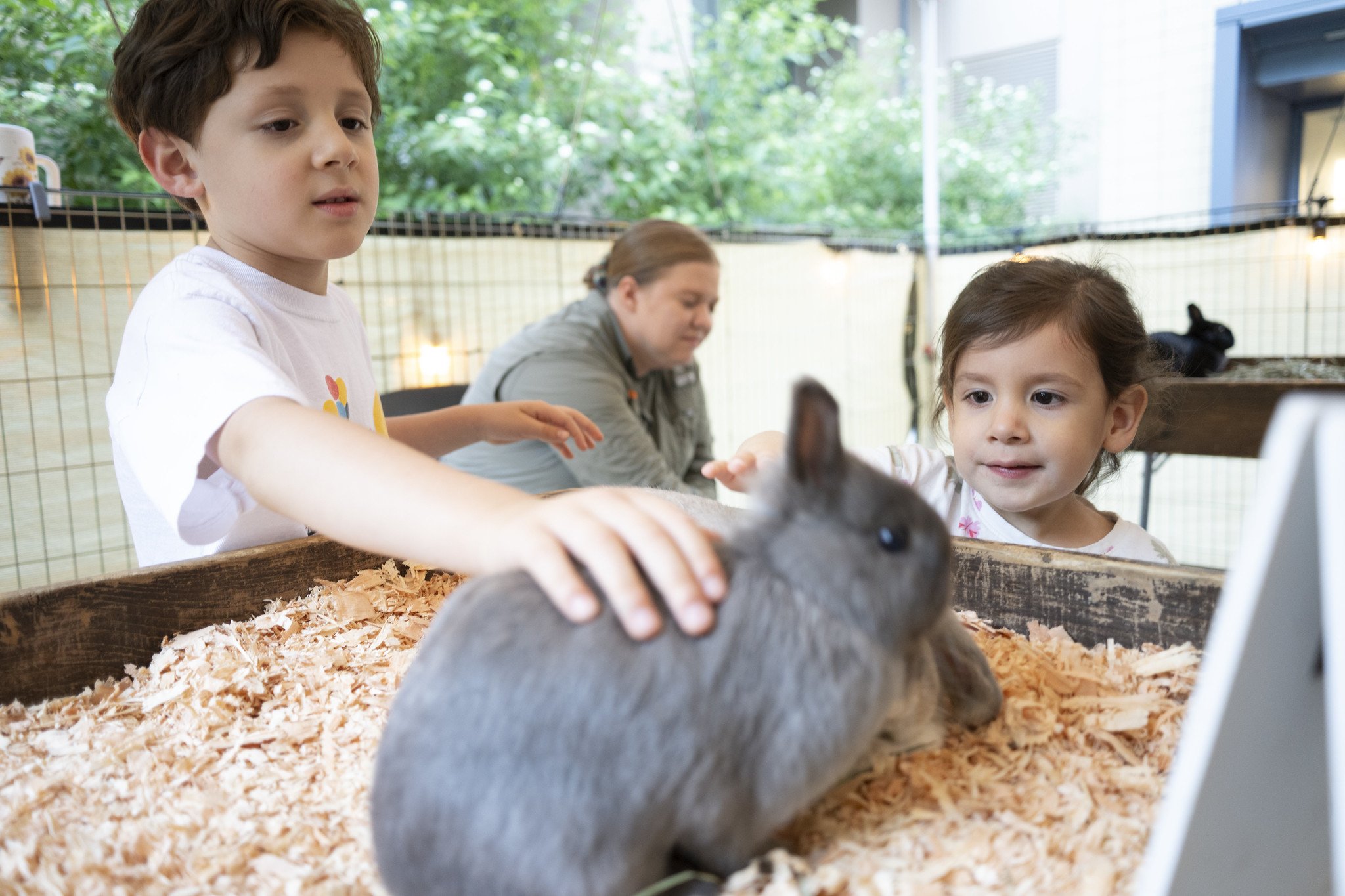 Petting_Zoo_20260917-3