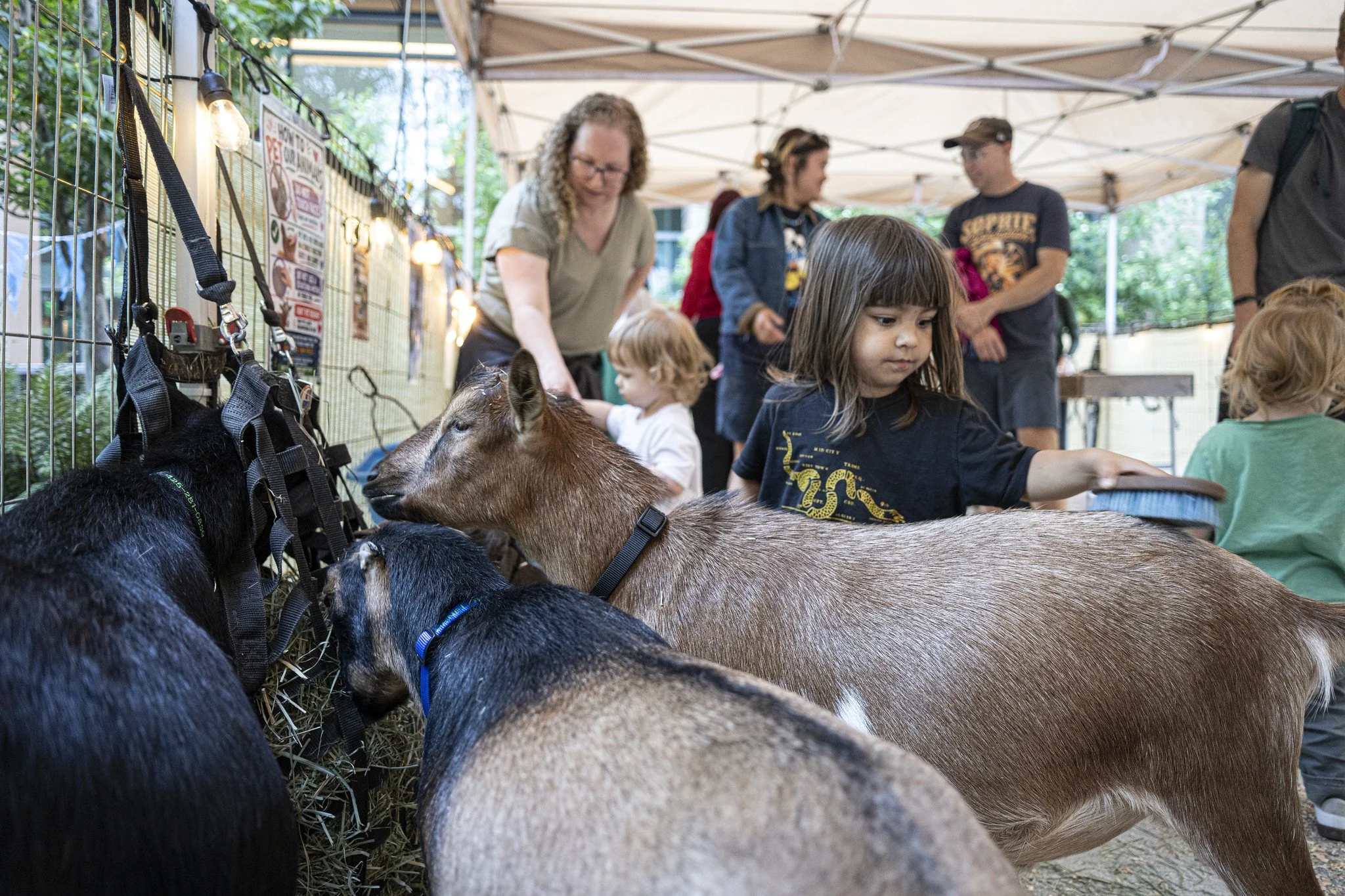 Petting_Zoo_20260917-8