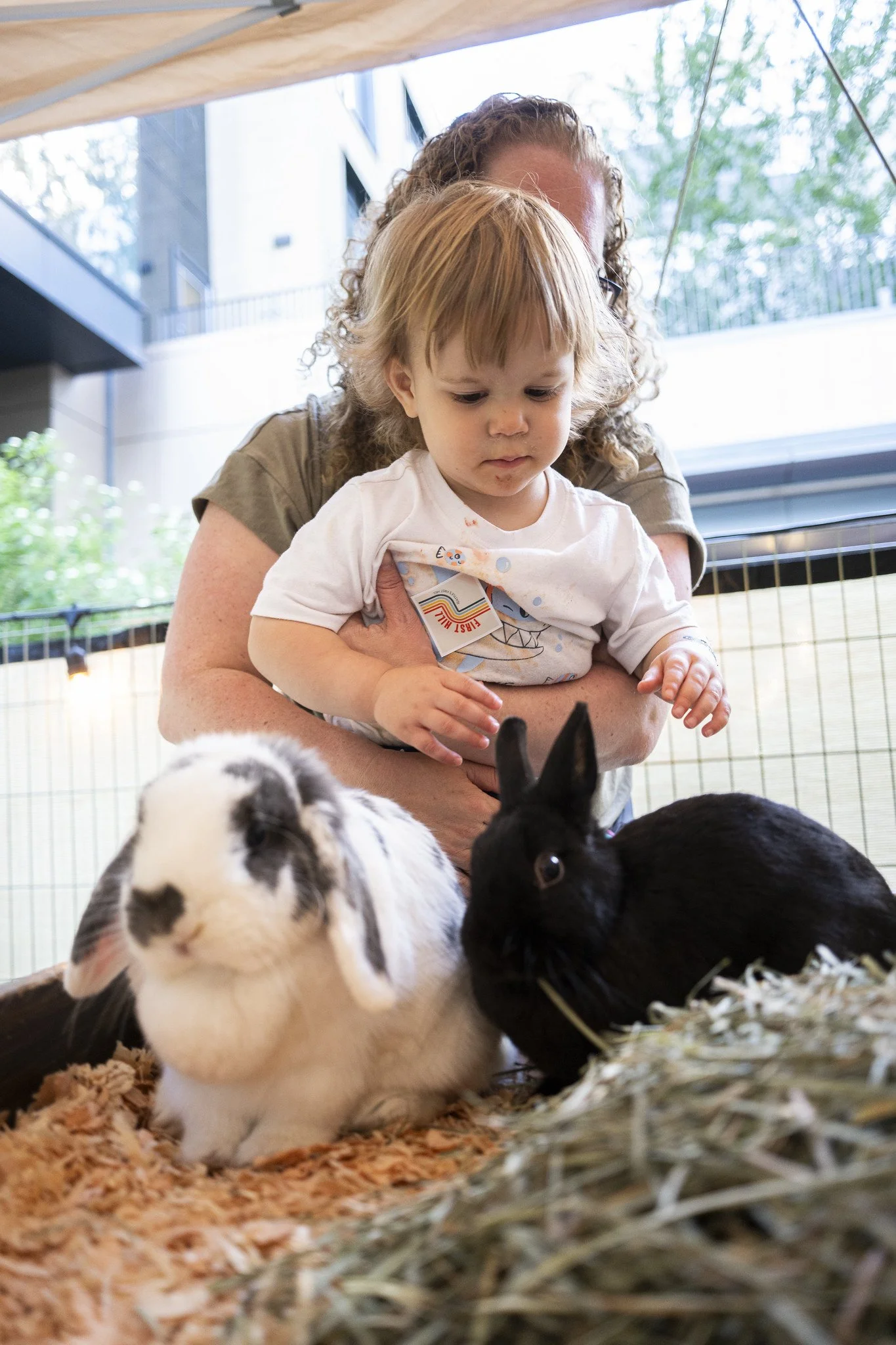 Petting_Zoo_20260917-5