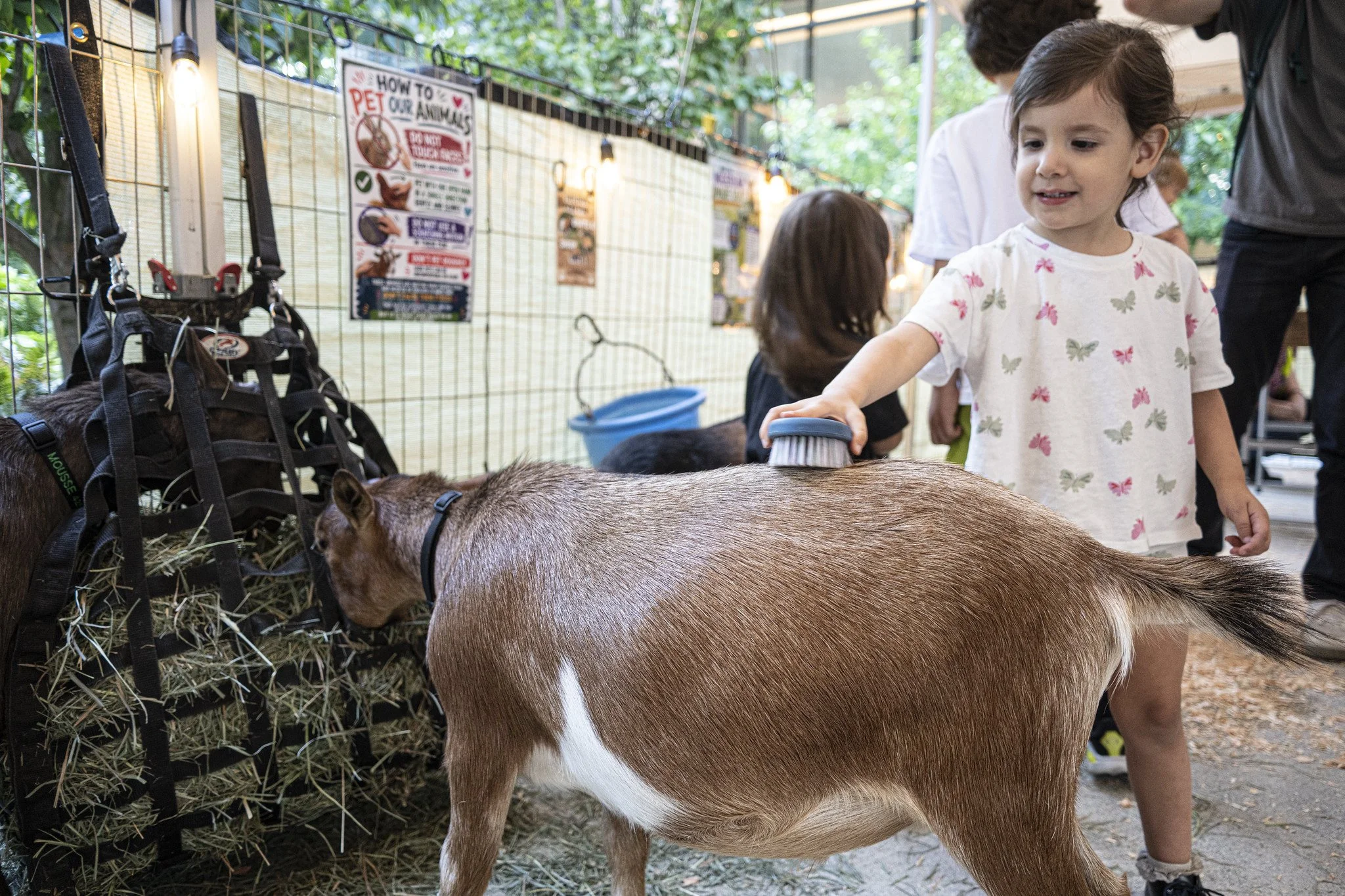 Petting_Zoo_20260917-7