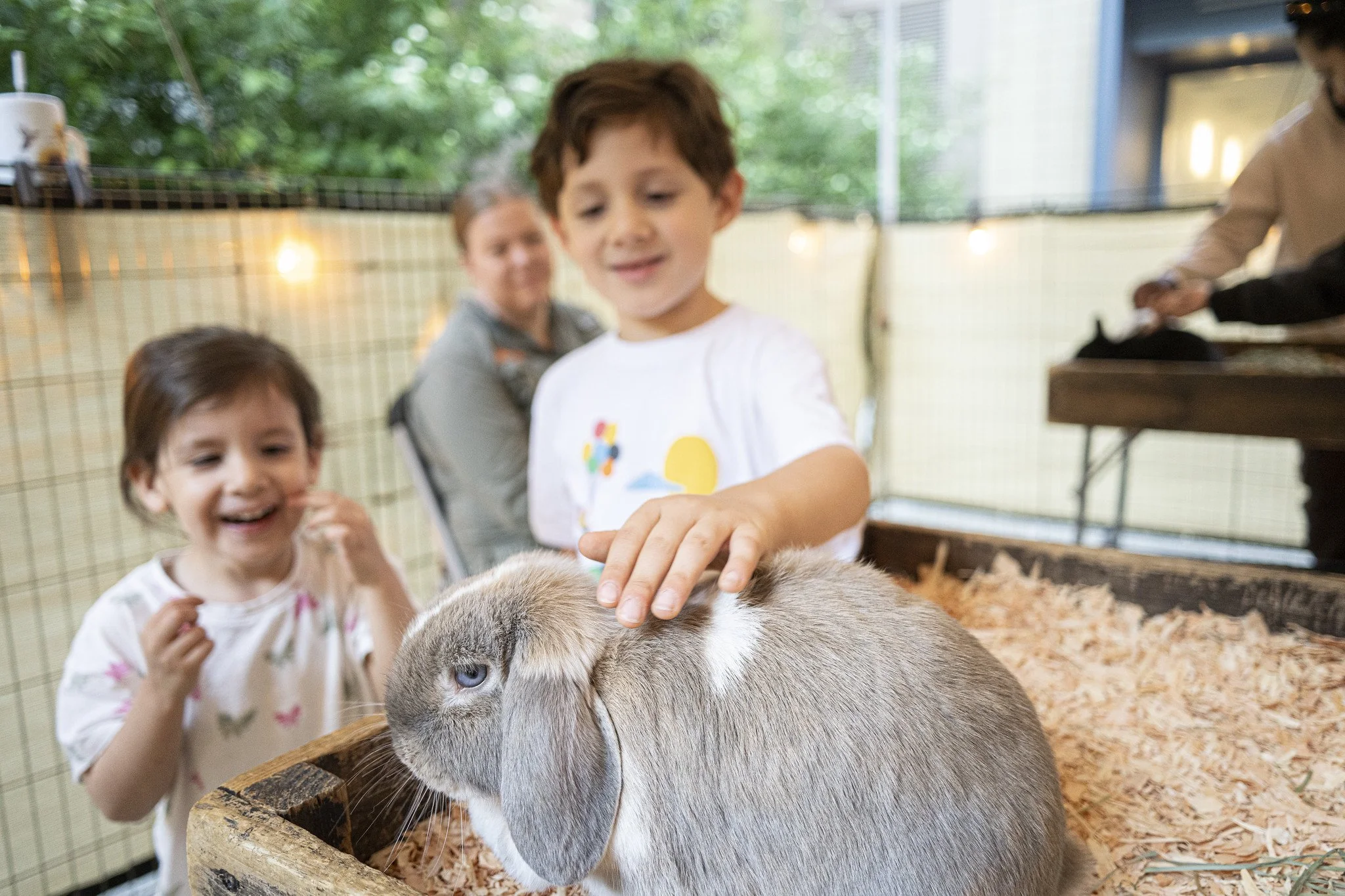 Petting_Zoo_20260917-14