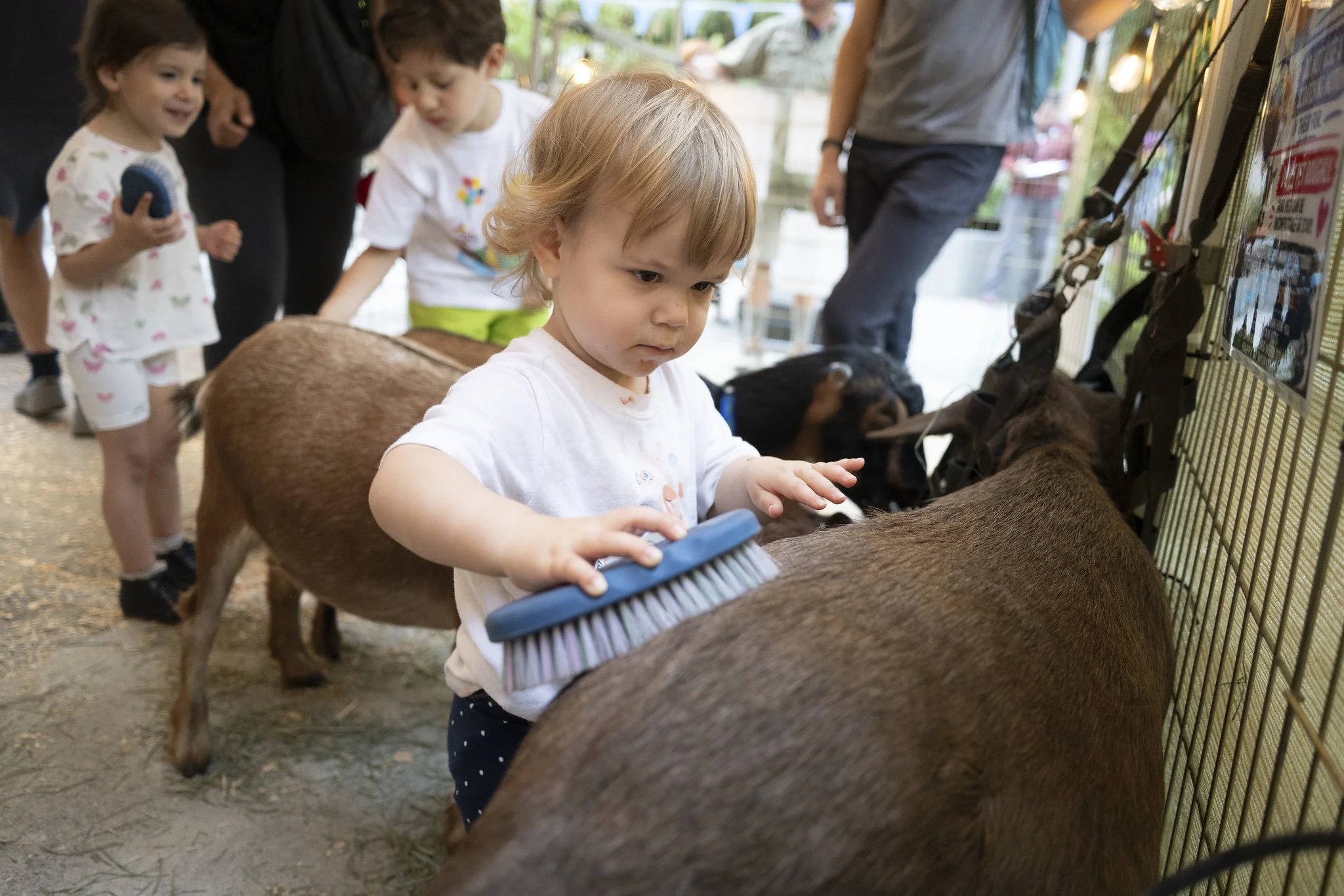 Petting_Zoo_20260917-9