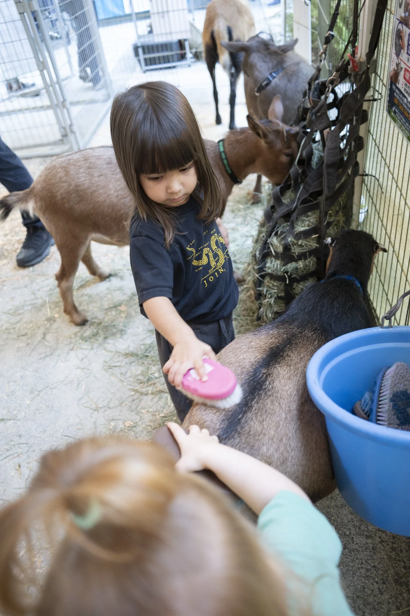 Petting_Zoo_20260917-4