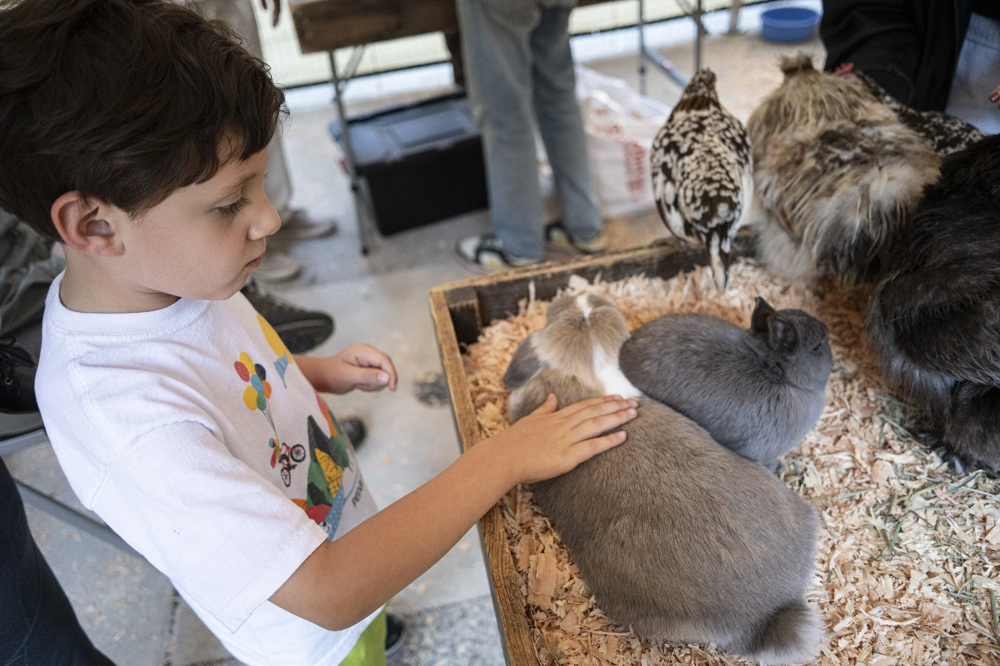 Petting_Zoo_20260917-16