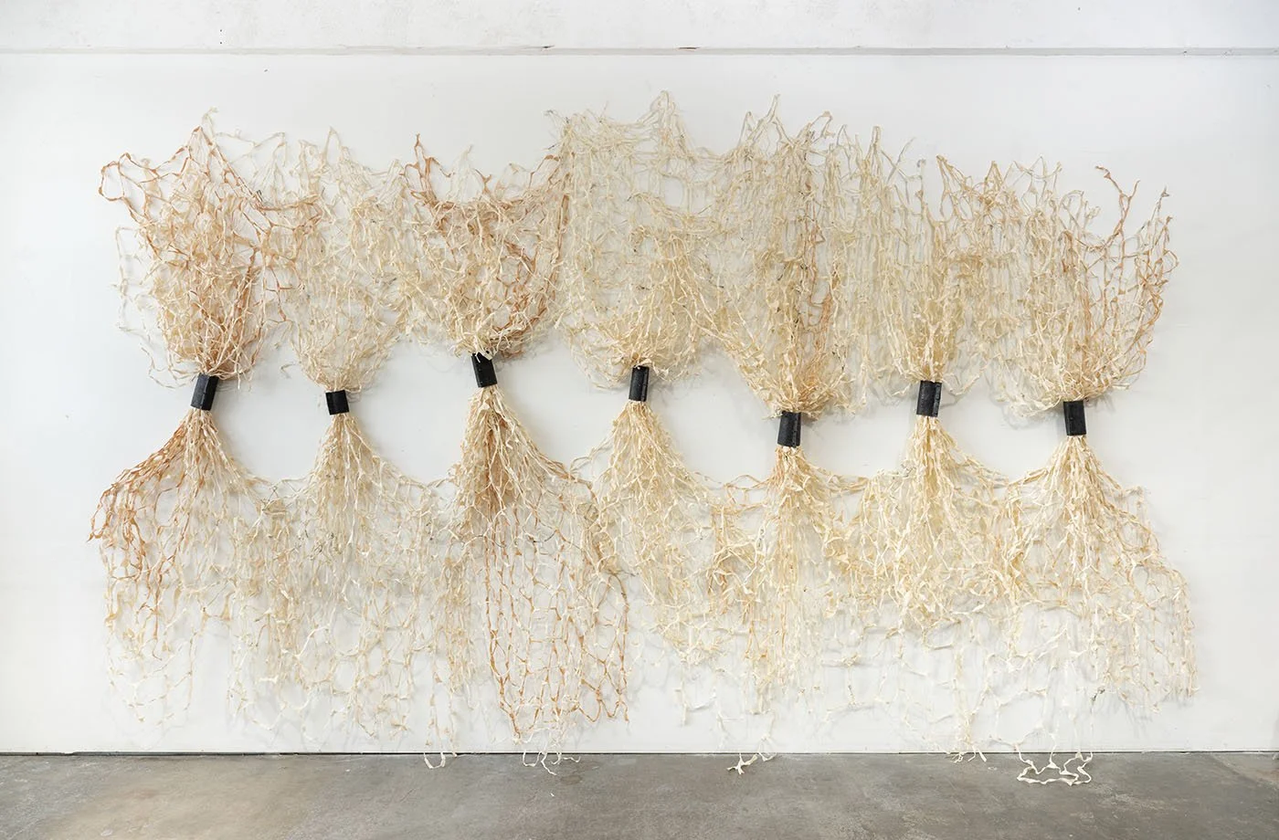 Art History Lecture Series | Pacific Northwest Coast Basketry