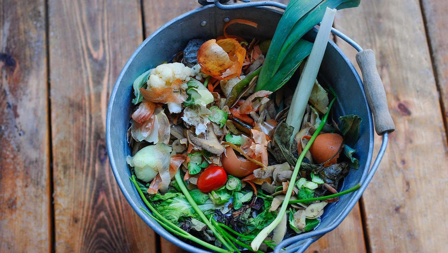 Closing the Loop: How Our Zero-Waste Kitchen Serves More Than Meals
