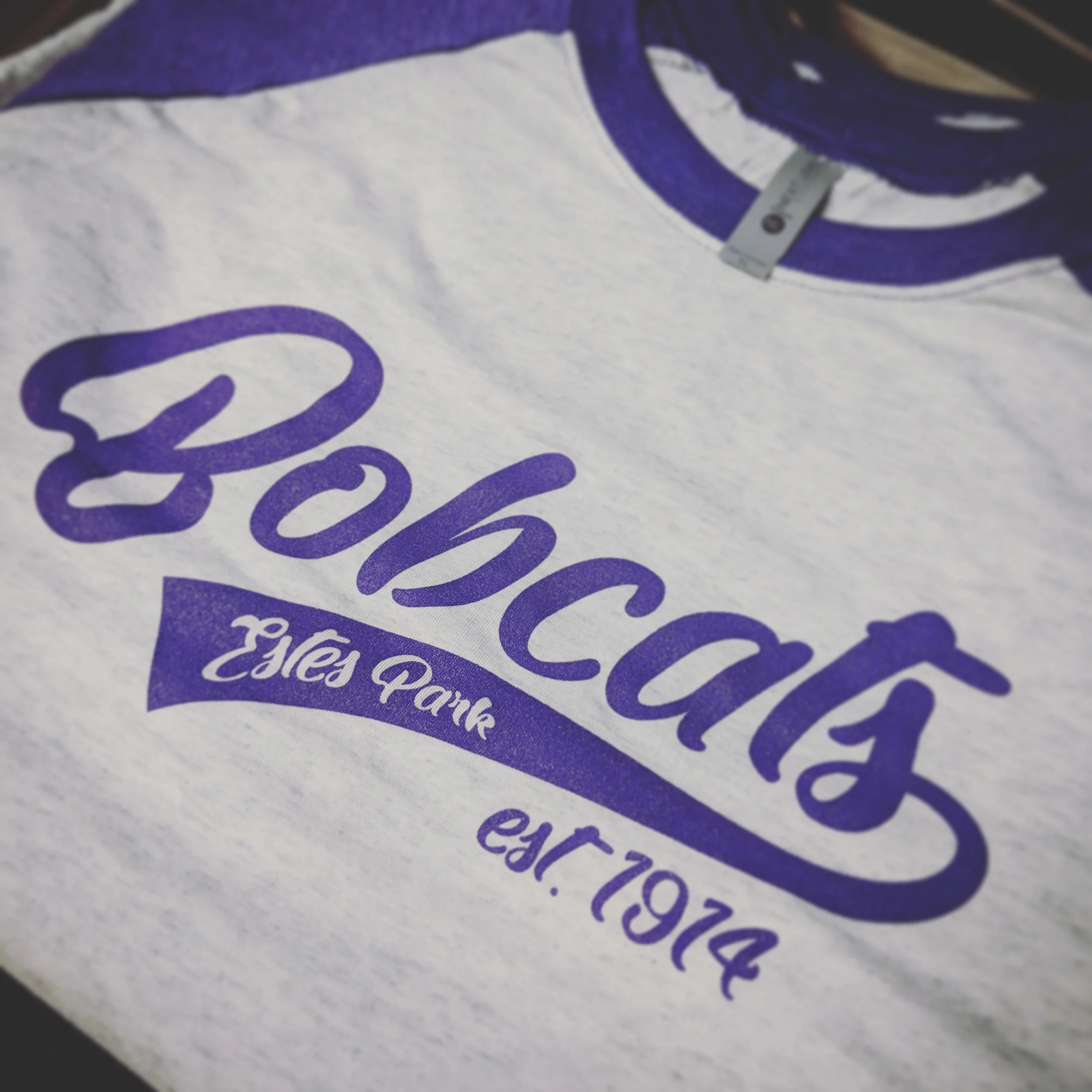 Bobcats Script Logo